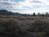 1763 Butte St photo